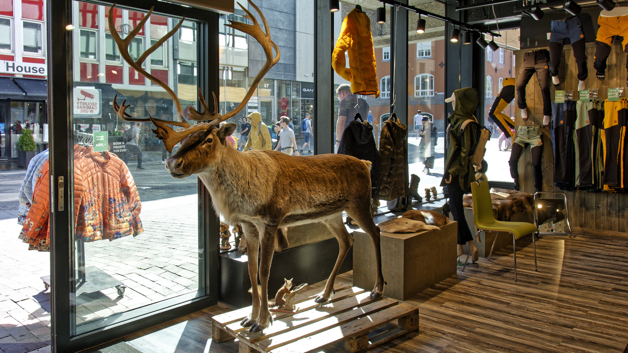 20230731 113133•Tromso•Troms og Finnmark•Norway